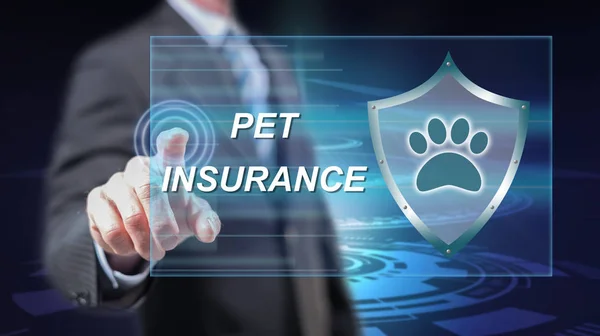 Man touching a pet insurance concept