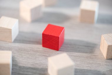 bireysellik kavramı