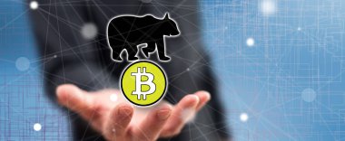 Bitcoin ayı trendi kavramı