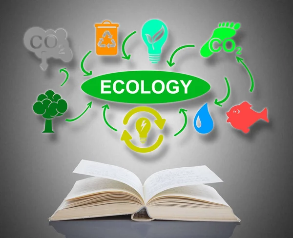 Concepto Ecológico Por Encima Libro Abierto — Foto de Stock