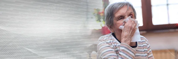 Elderly Woman Blowing Her Nose Panoramic Banner — Stock Photo, Image