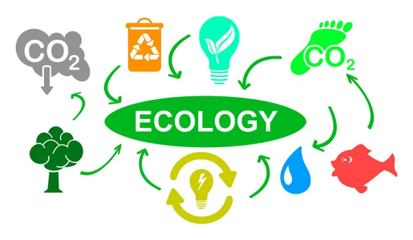 Ilustração Conceito Ecologia — Fotografia de Stock