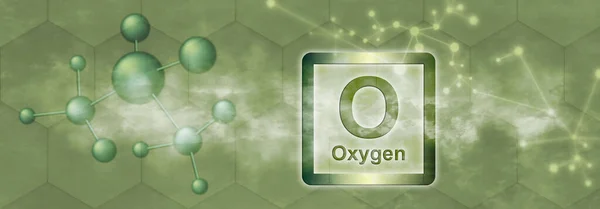 O symbol. Oxygen chemical element with molecule and network on green background