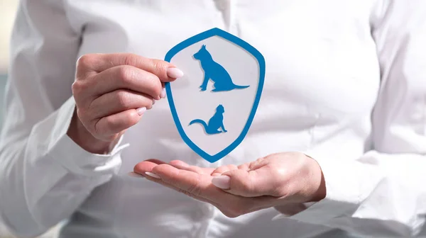 Concept of pet insurance with paper shield held by female hand