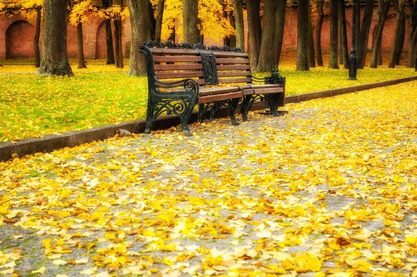 Autumn landscape. Autumn in the city park. City park bench in autumn. Autumn park in picturesqoe tones. Diffusion filter applied