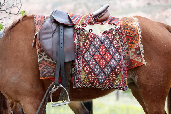 Sela Tradicional Alforje Anatólia Close Cavalo Castanho Padrões Tradicionais Tapete — Fotografia de Stock