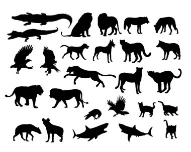 Carnivora Animal Silhouettes, art vector design  clipart