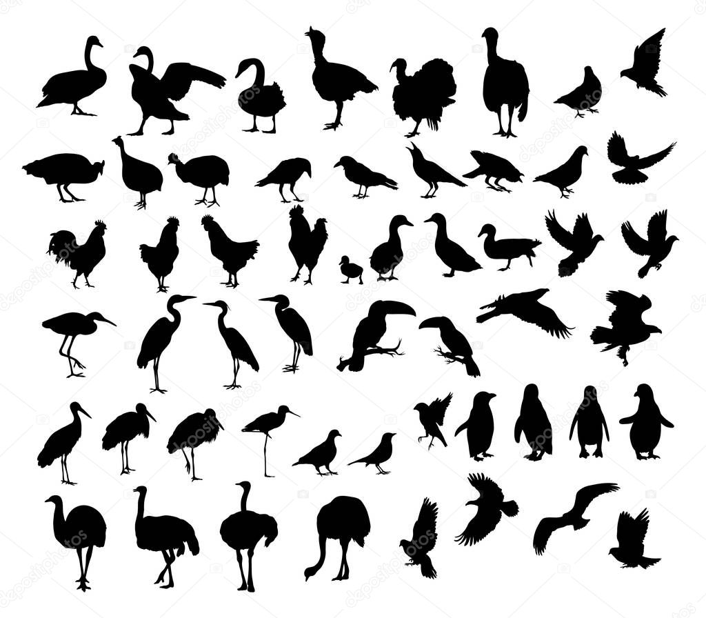 Poultry Animal Silhouettes, art vector design