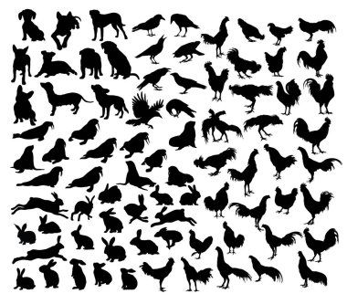 Hayvan Seti Siluetleri, sanat vektör tasarımı 