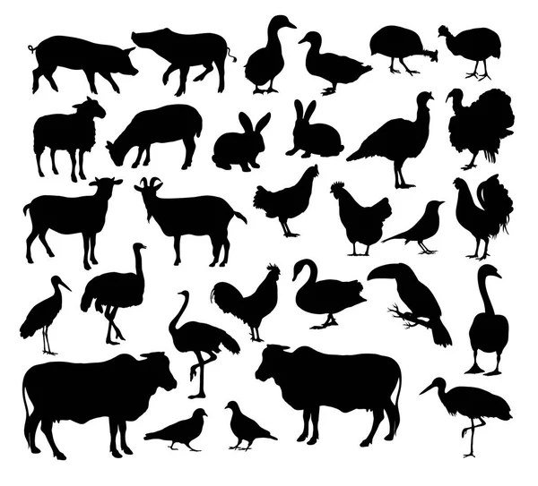农场动物剪影 艺术矢量设计 — 图库矢量图片
