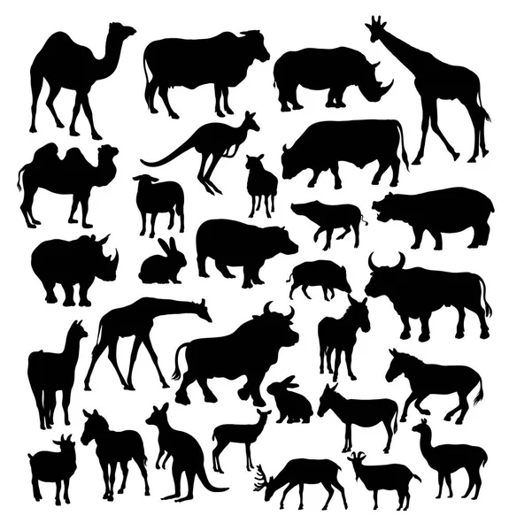 Wild Animal Silhouettes Art Vector Design — Stock Vector