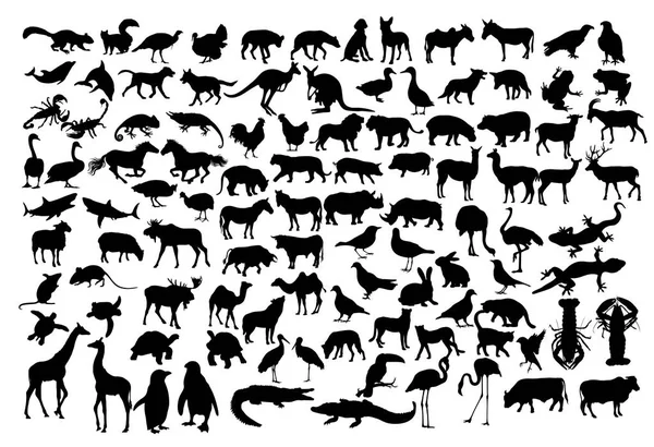 動物シルエット コレクション アートのベクトルのデザイン — ストックベクタ