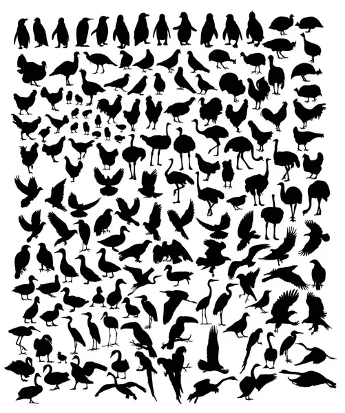 Vogel Dieren Art Vector Silhouet Design — Stockvector