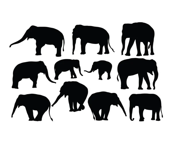 Siluetas Actividad Elefante Diseño Vectores Arte — Archivo Imágenes Vectoriales