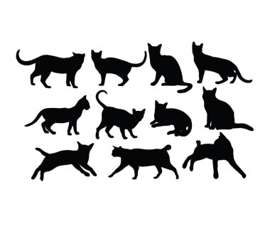 Cat Silhouettes, art vector design
