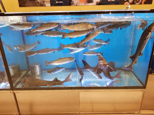 Aquarium in een supermarkt water — Stockfoto