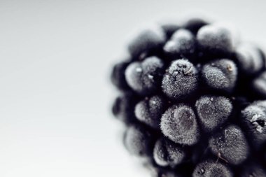 Benim sulu taze donmuş böğürtlenim