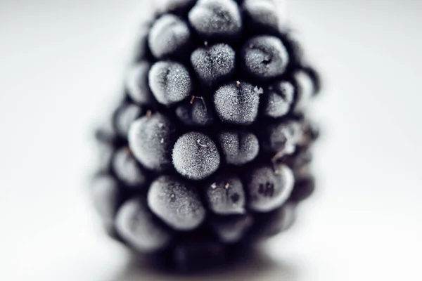 My juicy fresh frozen blackberry — Stock Photo, Image