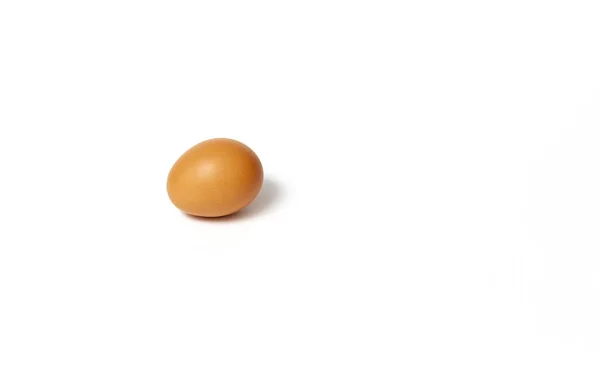 Huevo Pollo Sobre Fondo Blanco — Foto de Stock