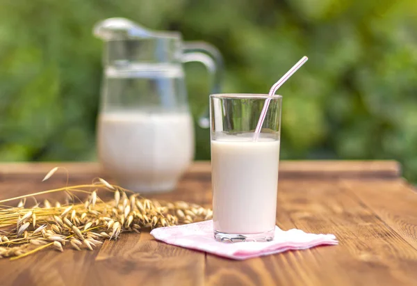 Oat milk in a glass in a summer garden on a background of a jug of oat milk and oat ears on a brown wooden table.Selective focus.