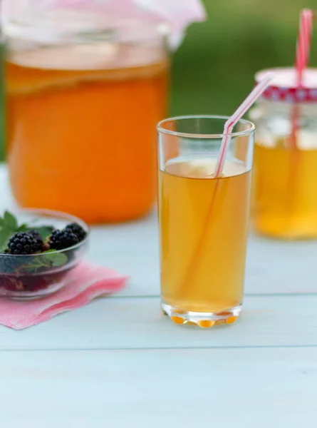 Glass Jar Kombucha Poured Glass Kombucha Cup Blackberry Summer Garden — Stock Photo, Image