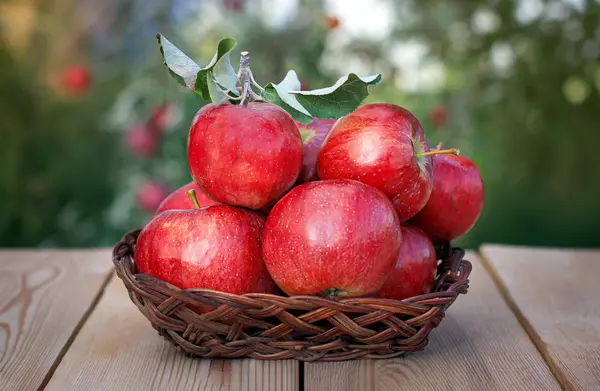 Récoltez Des Pommes Pommes Rouges Dans Vase Osier Sur Une — Photo