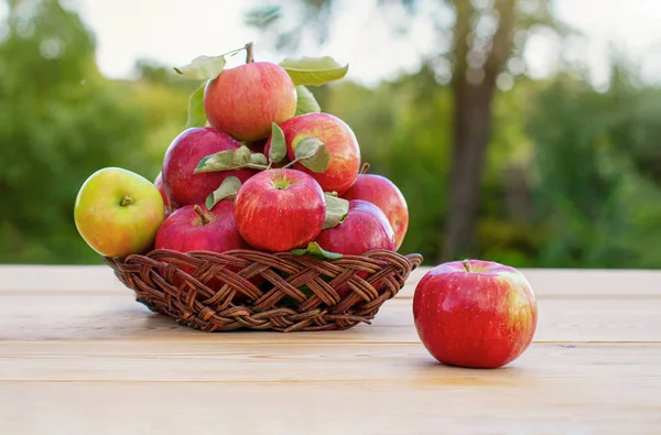 Cosecha Manzanas Manzanas Rojas Jarrón Mimbre Sobre Una Vieja Mesa — Foto de Stock