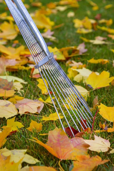 Herbst Fächerharke Und Laubhaufen Herbstpark Nahsicht — Stockfoto