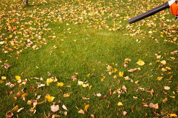 Пылесос Газоне Желтыми Листьями Солнечный День — стоковое фото