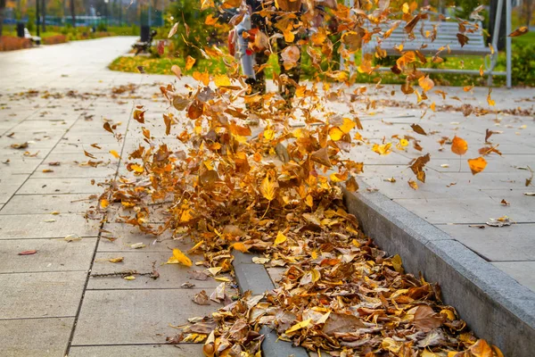 Hombre Con Una Aspiradora Jardín Trae Mantiene Limpieza Césped Parque —  Fotos de Stock