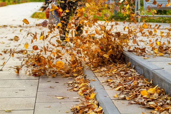 Hombre Con Una Aspiradora Jardín Trae Mantiene Limpieza Césped Parque —  Fotos de Stock