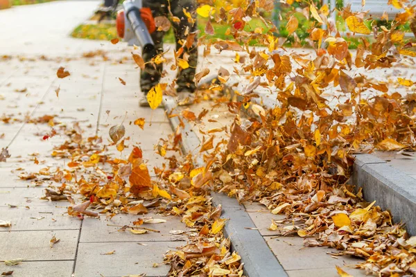 Hombre Con Una Aspiradora Jardín Trae Mantiene Limpieza Césped Parque —  Fotos de Stock