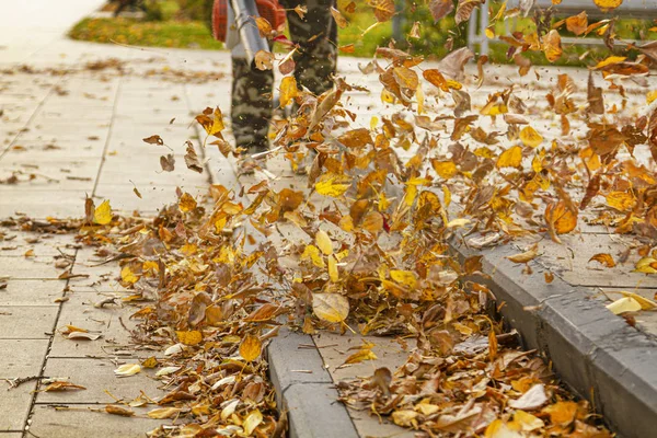 Uomo Con Aspirapolvere Giardino Porta Mantiene Pulizia Sui Prati Del — Foto Stock