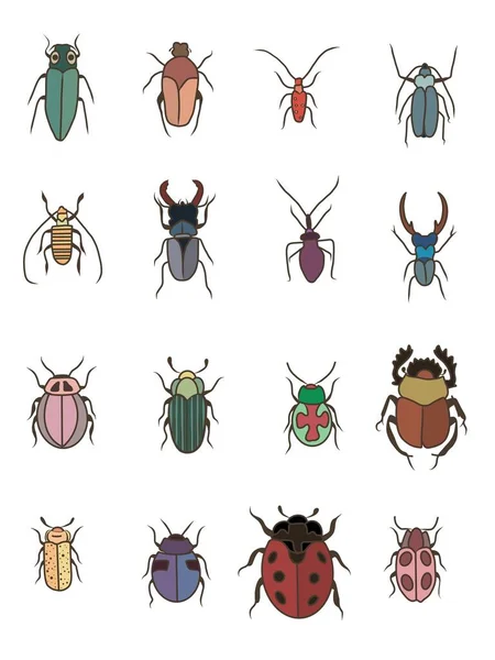 Uppsättning Insekter Mönster Skalbaggar Insekter — Stockfoto