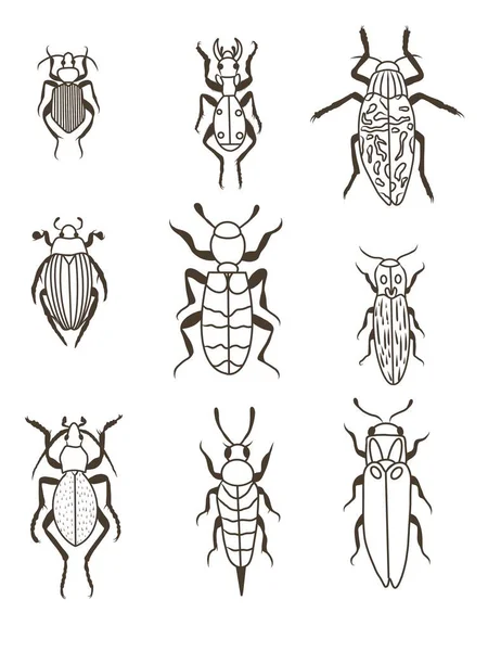 Conjunto Insectos Insetos Desenho Para Colorir — Fotografia de Stock