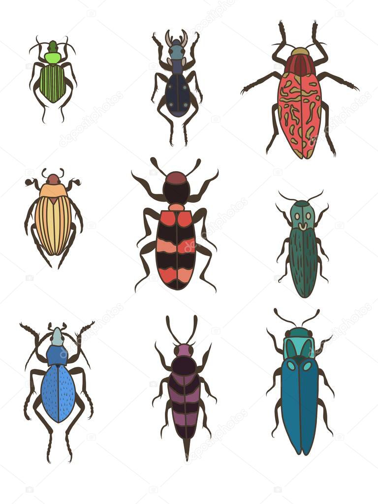 Set of bugs. Pattern. Beetles. Insects 