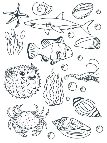 Coloring Book Coloring Page Underwater World Fish Shell — Stock Photo, Image