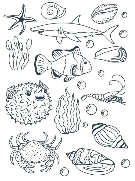 Coloring book. Coloring page. Underwater world. Fish. Shell