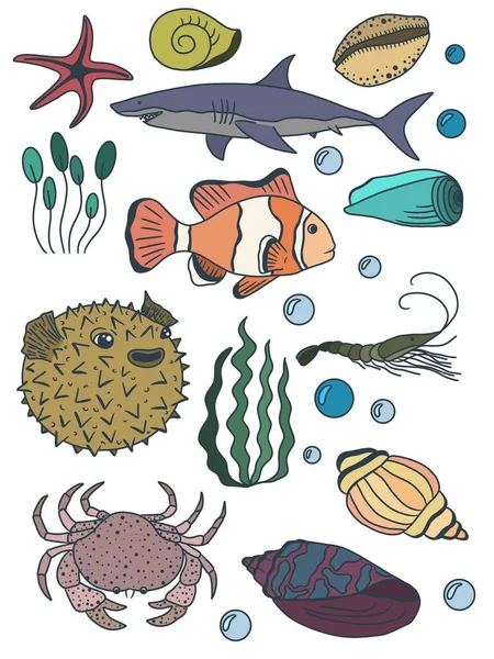 Set Dunia Bawah Air Ikan Rumput Laut — Stok Foto