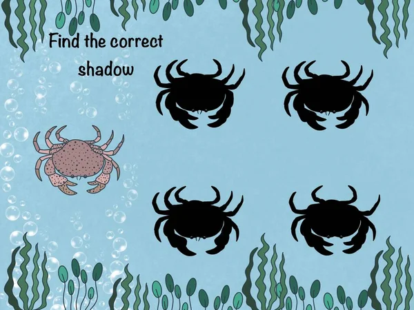 Hitta Rätt Skugga Logiskt Spel Undervattensvärlden Fisk Krabba — Stockfoto