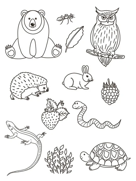 Set of animals. Forest. Pattern. Coloring book