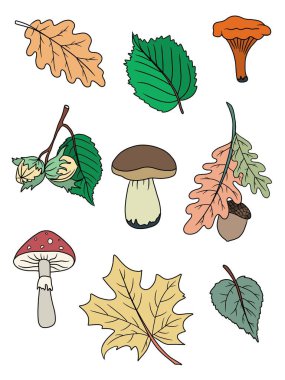 Sonbahar ve yapraklar. 