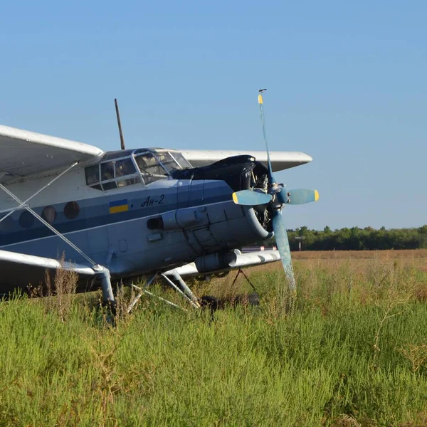 Grande Avião Com Motor Poderoso Pequeno Pássaro Sentou Suas Lâminas — Fotografia de Stock