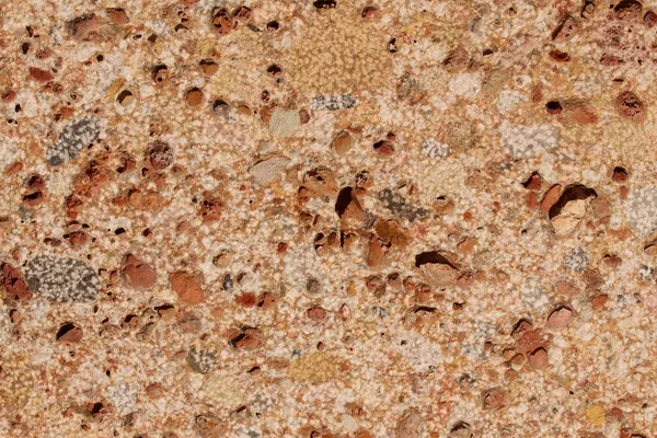 Pebble Embedded Stone Texture Background — Stock Photo, Image