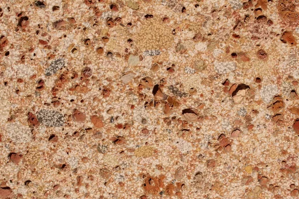 Pebble Embedded Stone Texture Background — Stock Photo, Image