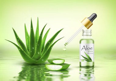 Aloe vera bitki taze damla ve damlalıklı cam şişe.