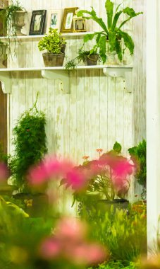 Yazları raf rahat ev Bahçe Bahçe nesne dekorasyonu ile rahatlatıcı alanı. 