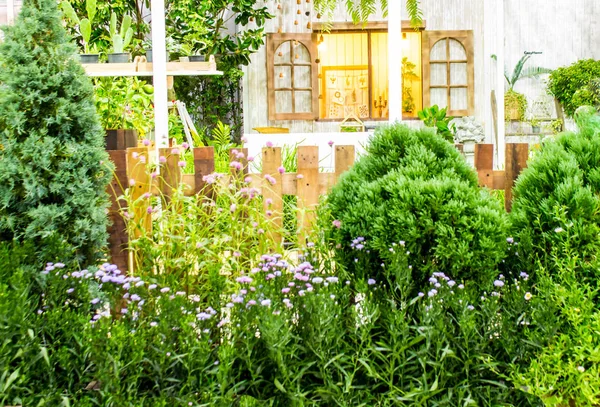 Yazları raf rahat ev Bahçe Bahçe nesne dekorasyonu ile rahatlatıcı alanı. 