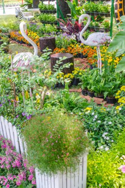 Beyaz ahşap çit ve çiçek dekorasyon rahat ev bahçe içinde yaz.