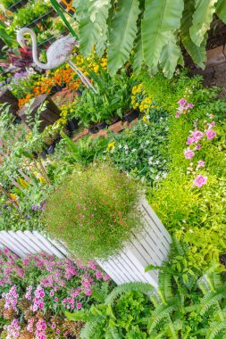 Beyaz ahşap çit ve çiçek dekorasyon rahat ev bahçe içinde yaz.